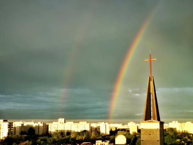 1623650697054040446.jpg 89.jpg